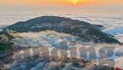 足球推介及比分-精准足球推介与比分预测，解锁绿茵场的智慧密码